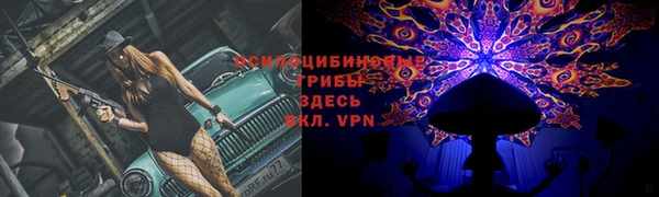 эйфоретик Богданович